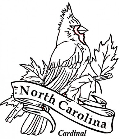 Cardinal Bird Of North Carolina coloring page | Free Printable ...
