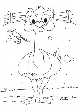 Cartoon ostrich in a farm house coloring page | Download Free ...