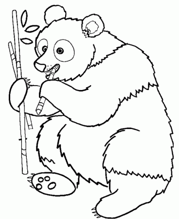 Wild Animal Coloring Pages | Panda bear eating bamboo Coloring 