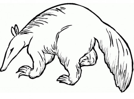 Wild Aardvark Coloring Page - Free Printable Coloring Pages for Kids