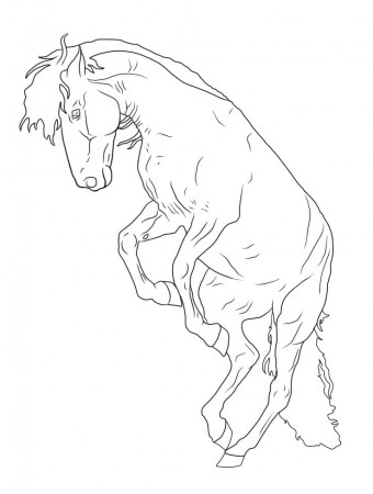 A Horse Coloring Page - Free Printable Coloring Pages for Kids