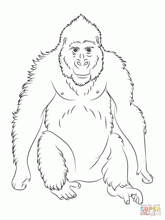 jane goodall coloring pages - Clip Art Library