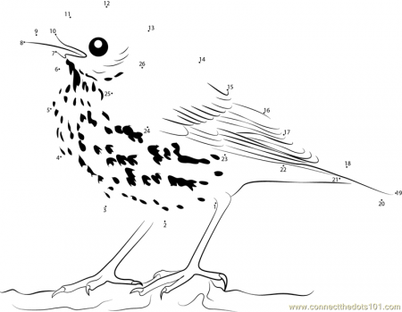 Close Look of Brown Thrasher dot to dot printable worksheet - Connect The  Dots
