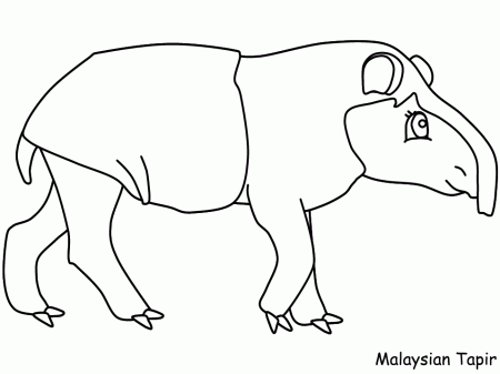 tapir coloring page - Clip Art Library