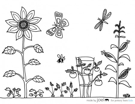 Vegetable Garden Coloring Sheet! – Made by Joel