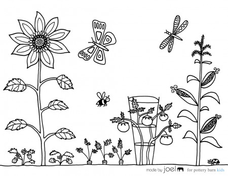 Vegetable Garden Coloring Sheet! – Made ...