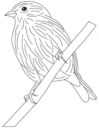 A cute goldfinch coloring page | Download Free A cute goldfinch coloring  page for kids | Best Coloring Pages