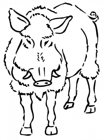 A Boar Coloring Page - Free Printable Coloring Pages for Kids