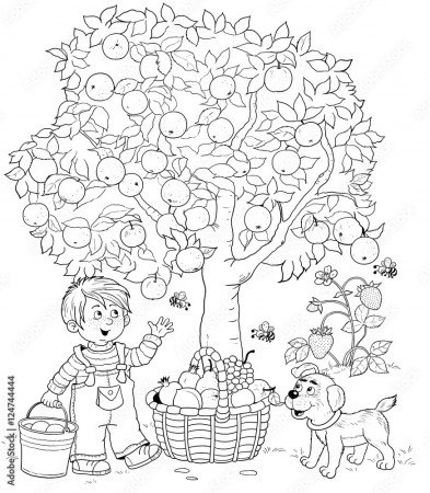 In the garden. A cute boy and his puppy picking apples and a basket full of  different fruits. Illustration for children. Coloring book. coloring page.  Funny cartoon characters. Stock Illustration | Adobe