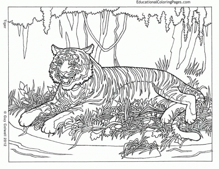 Animal Coloring Pages Hard - Coloring Pages For All Ages