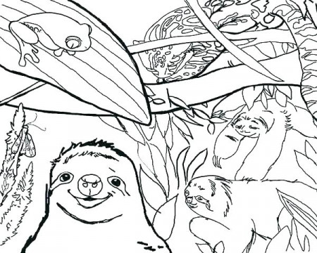 Cute Sloth Coloring Pages at GetDrawings | Free download