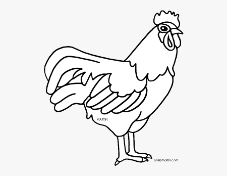 Bird Outline Picture Search Results Calendar 2015 Ellis - Coloring Delaware State  Bird , Free Transparent Clipart - ClipartKey