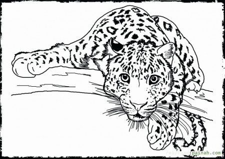 Free Coloring Pages Animals Realistic in 2020 | Detailed coloring ...