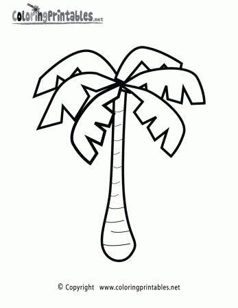 Palm Tree Coloring Page - A Free Nature Coloring Printable