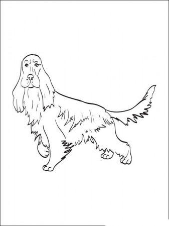Free Spaniel coloring pages. Download and print Spaniel coloring pages
