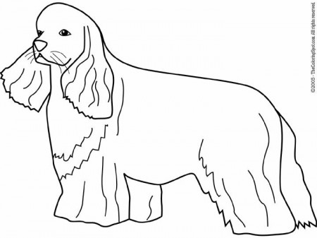 Cocker Spaniel Coloring Page | Audio Stories for Kids | Free Coloring Pages  | Colouring Printables