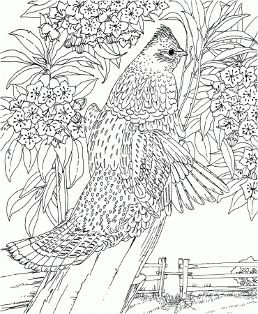 Guide Challenging Coloring Pages For Adults Printable Coloring ...