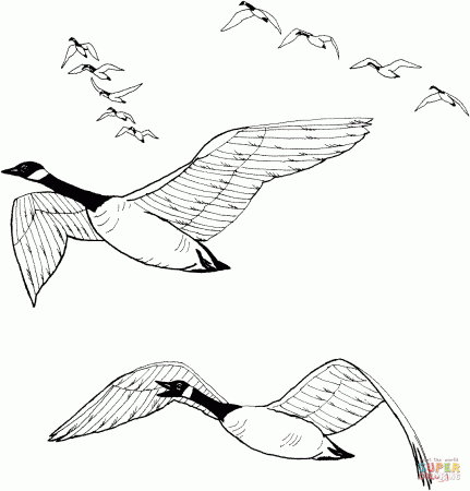 Gooses coloring pages | Free Coloring Pages