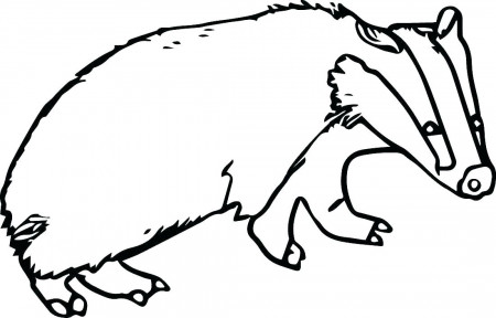 Wisconsin Coloring Pages at GetDrawings | Free download