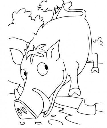 Wild boar coloring book for kids to print and online