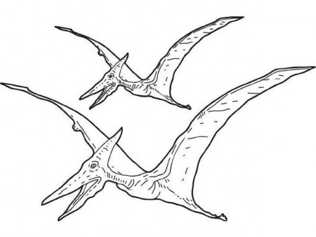 Pterosaur coloring pages - Hellokids.com