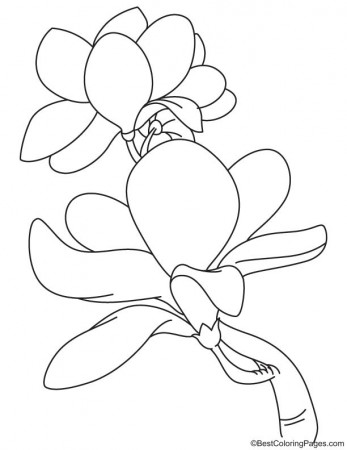 Blooming magnolia coloring page | Download Free Blooming magnolia coloring  page for kids | Best Coloring Pages
