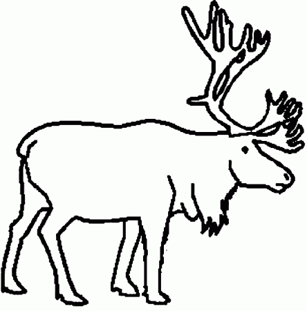 Caribou Drawings - ClipArt Best