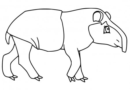 Lovely Tapir Coloring Page - Free Printable Coloring Pages for Kids