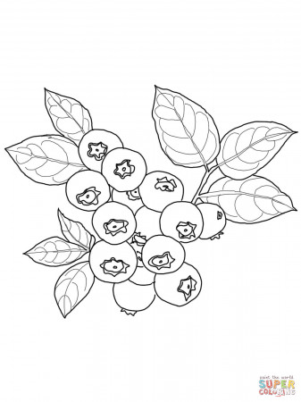 Blueberry coloring page | Free Printable Coloring Pages