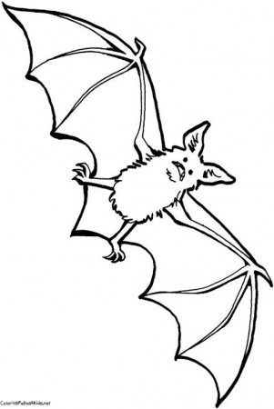 Bat Coloring Pages For Kids Page 1