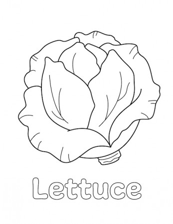 Lettuce Coloring Page - Little Bee Family