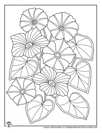 Morning Glory Flower Adult Coloring Printable | Woo! Jr. Kids Activities :  Children's Publishing