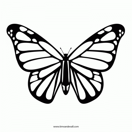 Monarch Butterfly Outline Template