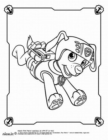 Zuma - Paw Patrol Coloring Pages