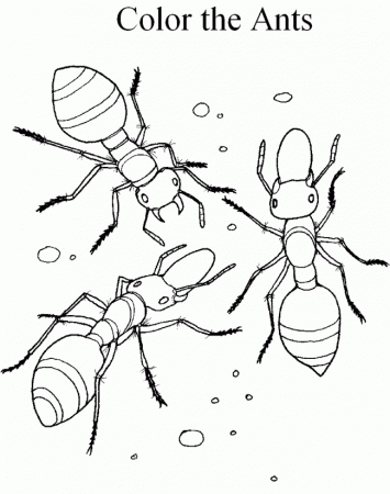 First Paper Ant Coloring Pages For Kids Az Coloring Pages, Genius ...