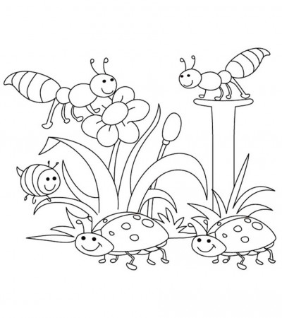 Top 35 Free Printable Spring Coloring Pages Online