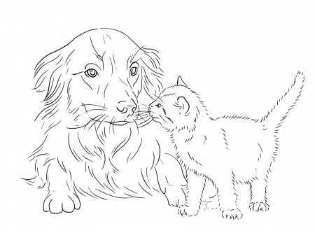 Cat and Dog Coloring Pages | Printable Coloring Pages
