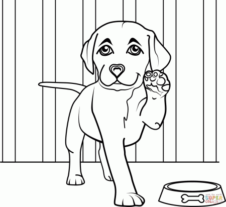 Labrador Puppy coloring page | Free Printable Coloring Pages