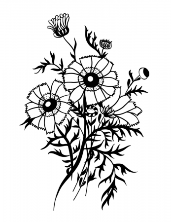 of plant coloring page label the parts you know and color | yooall. -  ClipArt Best - ClipArt Best