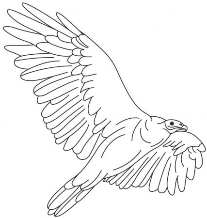 Vulture fly high coloring page | Download Free Vulture fly high coloring  page for kids | Best Coloring Pages