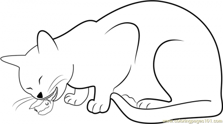Cat Eating Bid Coloring Page - Free Cat Coloring Pages :  ColoringPages101.com