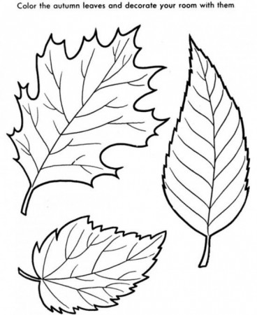 Coloring Sheets Online - Autumn Leaves Coloring Pages / All About ...