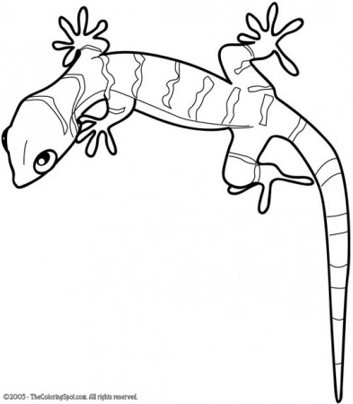 Gecko Coloring Page | Audio Stories for Kids | Free Coloring Pages |  Colouring Printables