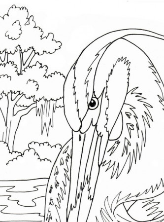 2 Great Blue Heron Printable PDF Download Coloring Page - Etsy