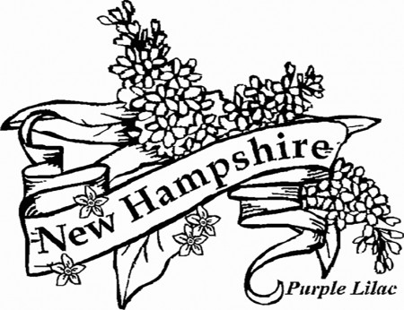 New Hampshire Purple Lilac Coloring Pages - Coloring Cool
