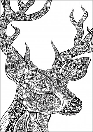 Deer coloring Free printable deer coloring pages for kids |  Lacee.abimillepattes.com