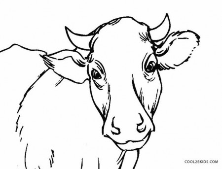 Cow Face Drawing at GetDrawings.com ... | Vacas divertidas, Vacas y  terneros, Vacas