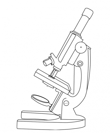 MICROSCOPE COLOURING PAGE | Free ...