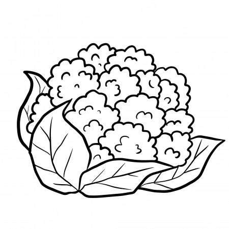 Premium Vector | Cauliflower vegetables cartoon cute kawaii doodle coloring  page drawing illustration clipart