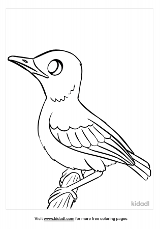 Baby Bird Coloring Pages | Free Birds Coloring Pages | Kidadl
